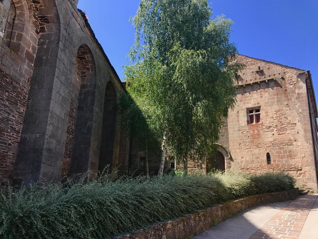 La Petite Maison Des Artistes Castelnau-Pégayrols Δωμάτιο φωτογραφία