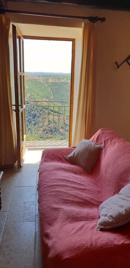 La Petite Maison Des Artistes Castelnau-Pégayrols Εξωτερικό φωτογραφία