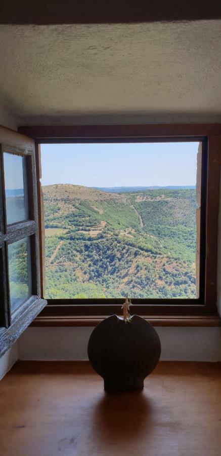 La Petite Maison Des Artistes Castelnau-Pégayrols Εξωτερικό φωτογραφία